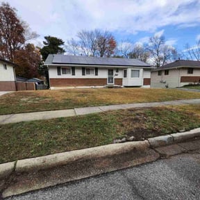 Leaf Removal by TruGreen LawnCare reviewed on June 28, 2025