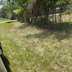 Bush Trimming by Martínez landscaping reviewed on September 14, 2024