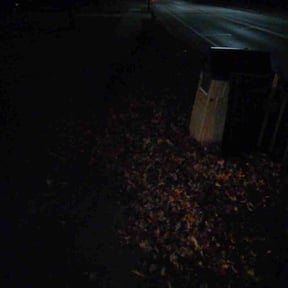 Leaf Removal by Marcus Perry reviewed on July 16, 2022