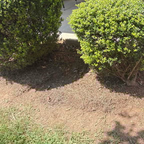 Flower Bed Weeding by ATW Imbues reviewed on November 7, 2022