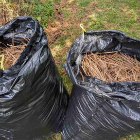 Leaf Removal by andrew ledbetter reviewed on July 28, 2022