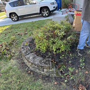 Bush Trimming by Jerry Rios Lawn Serviceu reviewed on June 27, 2022