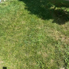 Landscaping by Before & After Contracting reviewed on December 3, 2024