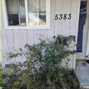Bush Trimming by Lawns 2NV reviewed on November 13, 2023