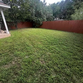 Cleanups by Brett's Lawn Service reviewed on August 23, 2021