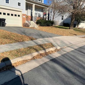 Leaf Removal by Reliablemowing LLC reviewed on July 24, 2022