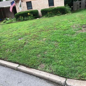 Bush Trimming by Patriot Lawn Services reviewed on May 27, 2022