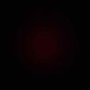 Weeding by Top Dogg Unlimited reviewed on April 27, 2025