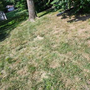 Leaf Removal by Surwillo Lawn &amp; Landscaping reviewed on September 17, 2024