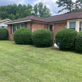 Bush Trimming by Scott Basinger lawn care reviewed on August 3, 2022