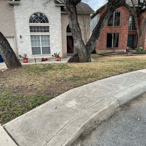 Leaf Removal by Texas Services SA reviewed on February 26, 2025