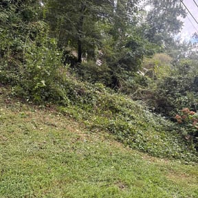 Bush Trimming by Atl Summit Landscaping reviewed on May 9, 2025