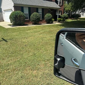 Bush Trimming by Grass Experts reviewed on October 5, 2022