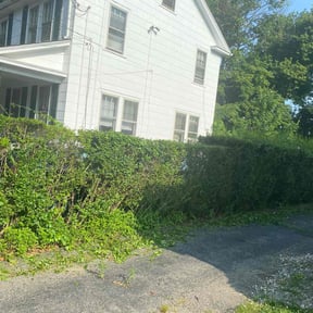 Bush Trimming by Lawn Kingz reviewed on October 22, 2021