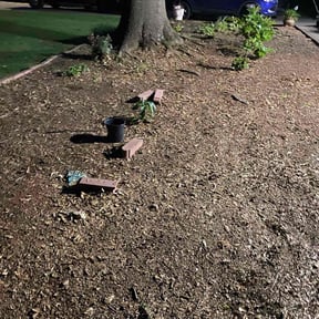 Cleanups by Mow Pro reviewed on August 6, 2025