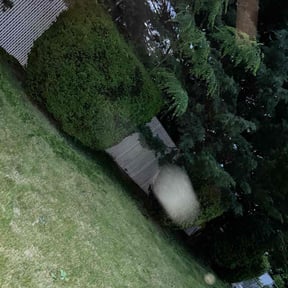 Bush Trimming by Double F Lawns reviewed on June 3, 2022