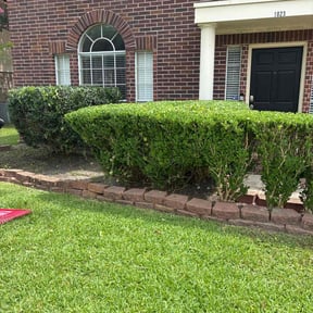 Bush Trimming by Precision Landscaping & more reviewed on October 19, 2022