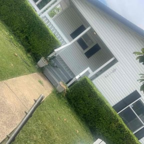 Bush Trimming by All In One Lawn Care reviewed on July 10, 2025