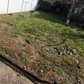 Leaf Removal by Danny lawn care reviewed on April 24, 2022