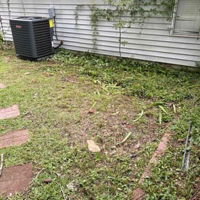 Bush Trimming by Jay's Cutting Service reviewed on May 3, 2025