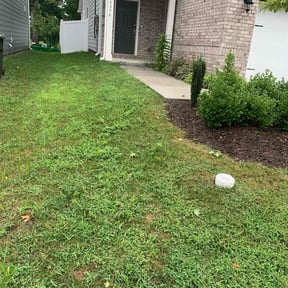 Cleanups by Lopez Landscaping reviewed on August 19, 2024