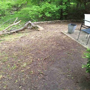 Cleanups by Ortiz landscape reviewed on May 14, 2025