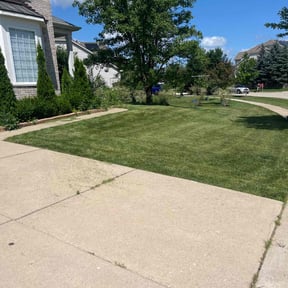 Cleanups by Lake Area Landscaping reviewed on August 17, 2024