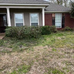Bush Trimming by Keepn It Green reviewed on June 7, 2022