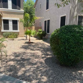 Bush Trimming by Fat Cat Landscaping reviewed on April 27, 2022