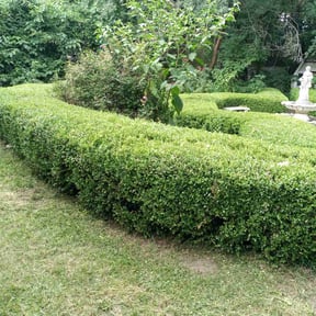 Bush Trimming by J’s Lawn Care reviewed on July 14, 2022