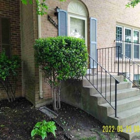 Bush Trimming by Flores Landscaping Services reviewed on June 8, 2025