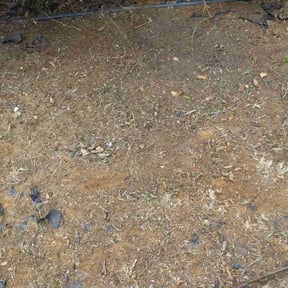 Flower Bed Weeding by Yards Done Daily reviewed on April 28, 2025