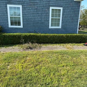 Bush Trimming by Reset ladscaping reviewed on June 28, 2022