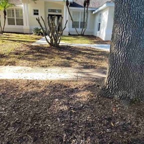 Leaf Removal by George's Lawn Care reviewed on June 17, 2022