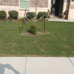 Bush Trimming by Midwest mowing reviewed on June 12, 2022