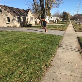 Leaf Removal by Joe Jackson Signature Homes reviewed on June 2, 2022