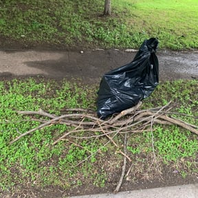 Leaf Removal by Elite lawn care reviewed on June 14, 2022