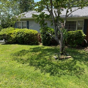 Bush Trimming by Tip-Top lawn care reviewed on July 6, 2022