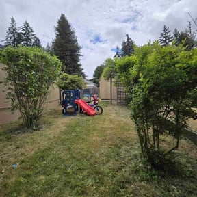 Bush Trimming by Jz landscape construction llc reviewed on July 28, 2022