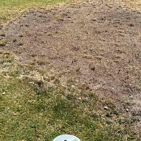 Lawn Seeding by Christian Brothers Maintenance reviewed on June 19, 2025