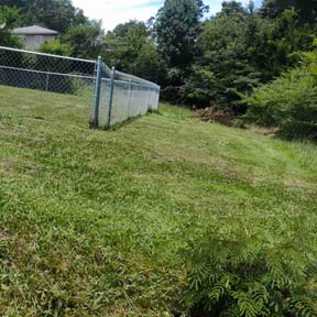 Cleanups by Logans Lawn service reviewed on July 24, 2025