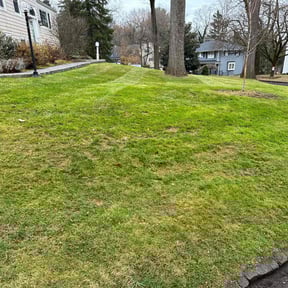 Leaf Removal by Tim's Discount Lawn reviewed on July 13, 2022