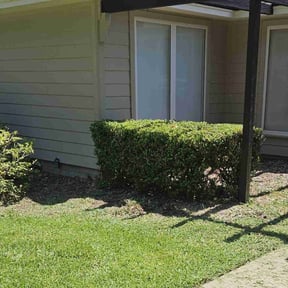 Bush Trimming by Lowcountry yard maintaince reviewed on May 6, 2022