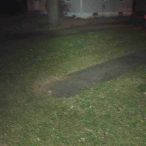 Leaf Removal by Lawns and more reviewed on April 28, 2022