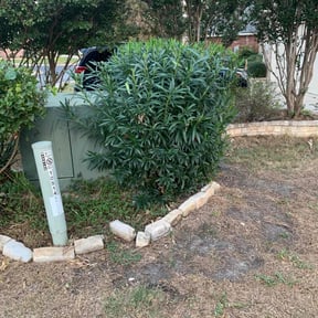 Bush Trimming by Hd landscape reviewed on August 28, 2020