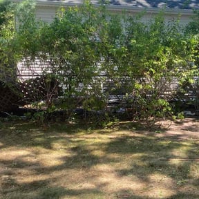 Bush Trimming by A&M Outdoor Services, LLC reviewed on July 21, 2022
