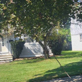 Bush Trimming by Tim's Lawn Service reviewed on May 18, 2022