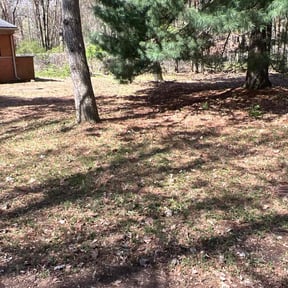 Leaf Removal by Davis landscaping reviewed on July 11, 2020