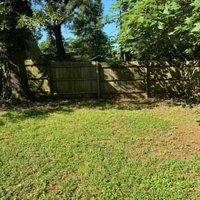 Cleanups by Green T&#039;s Lawn &amp; Landscape reviewed on April 19, 2025