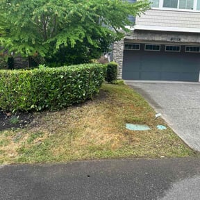 Bush Trimming by KK&S LAWN CARE reviewed on July 7, 2022